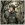 Avatar of Jan (11032)