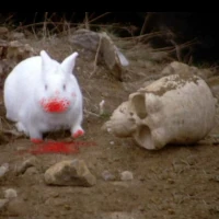 Killer Rabbit