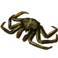 Slaughter Crab