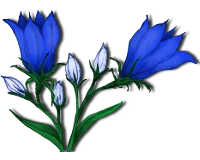 Draconian Flower